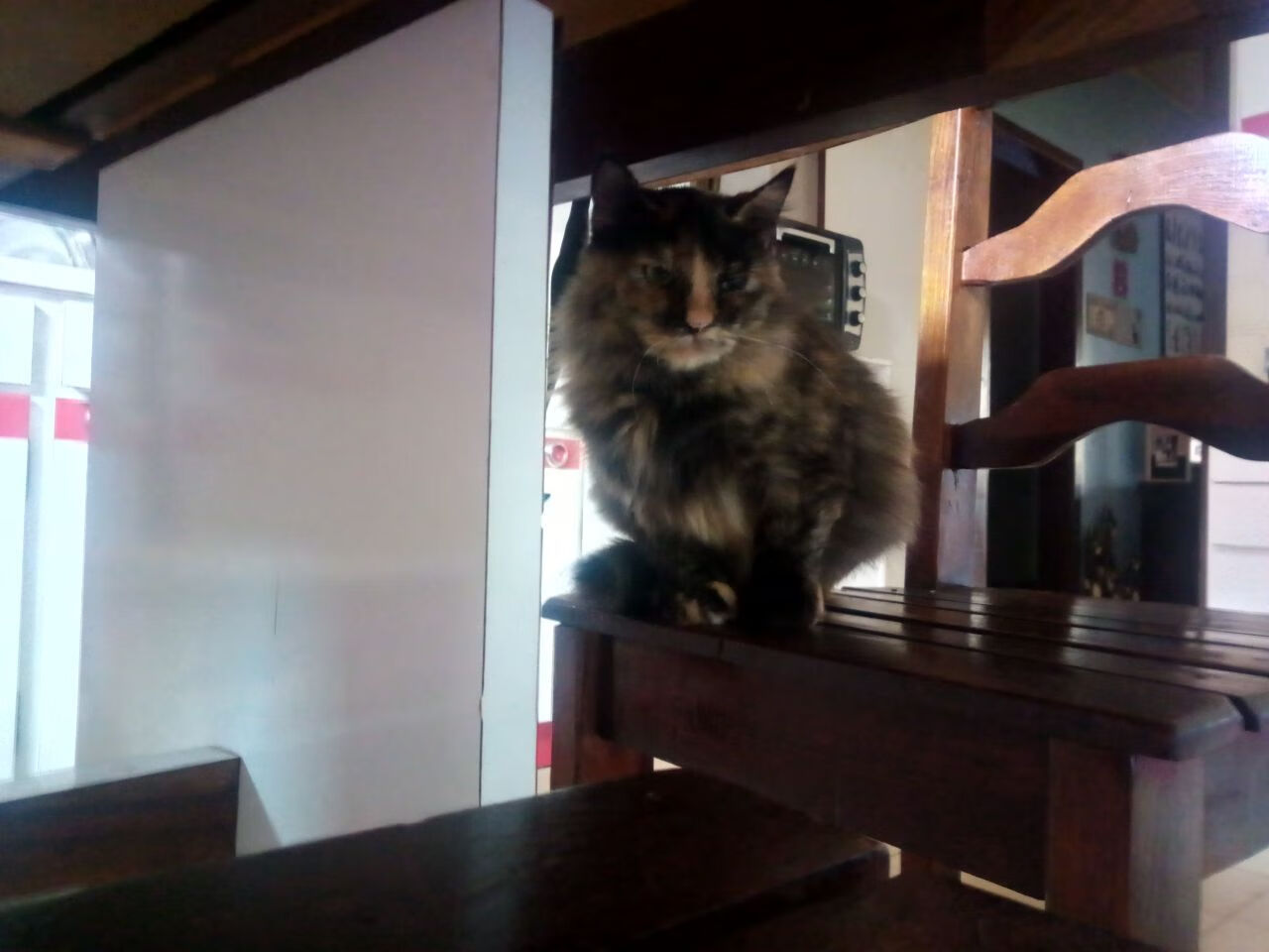 开云体育登陆入口-_新赛季新期待：各大赛事布局全景揭秘_，赛事2021