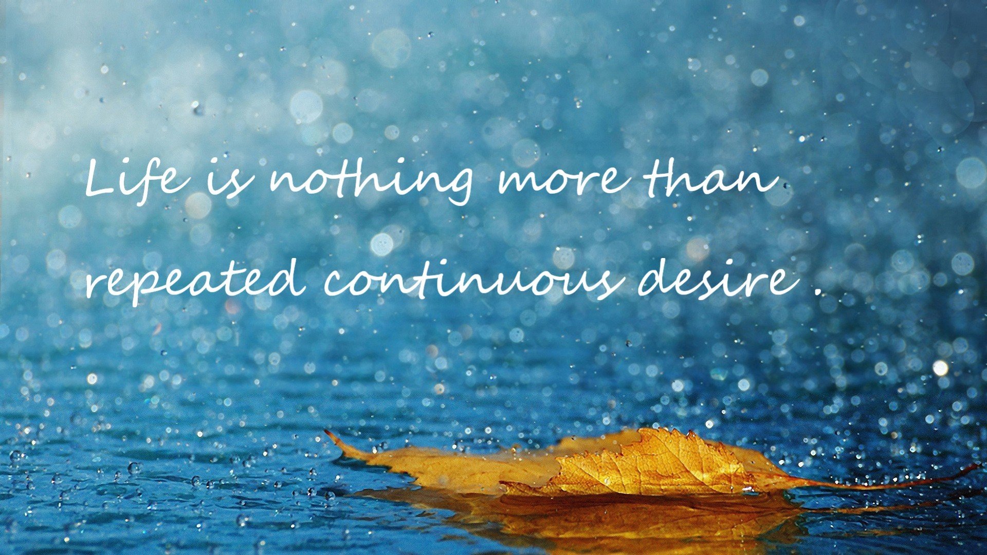 开云·体育官网APP下载-_温布尔登夺冠之路：草地赛场上的荣耀与挑战_，温布尔登网球场是什么草