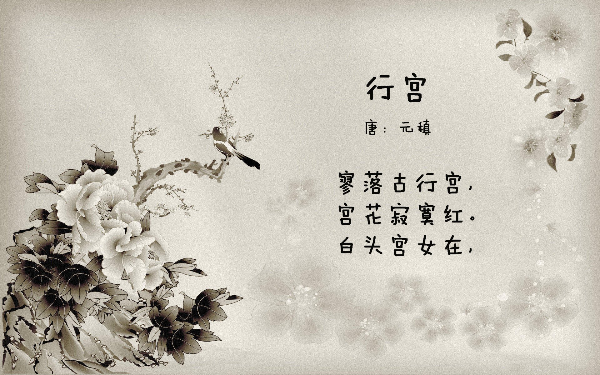 开云网址入口-_森林冒险跑：运动与自然的完美融合_，森林 跑步