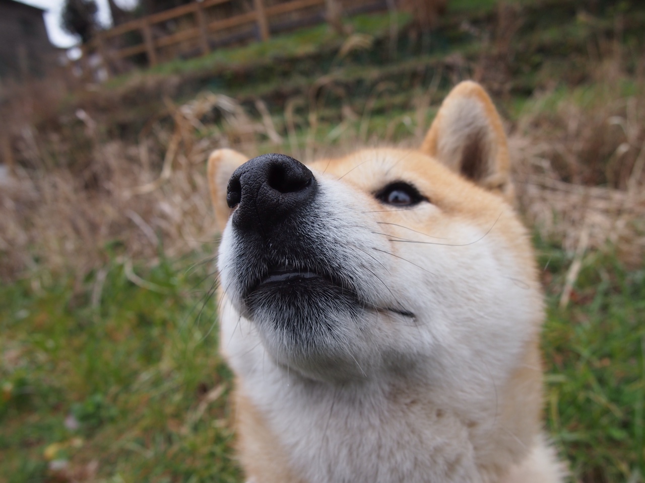 开yun官网-【大都会守住领跑位置】DeGrom投出七局无失分，大都会七期