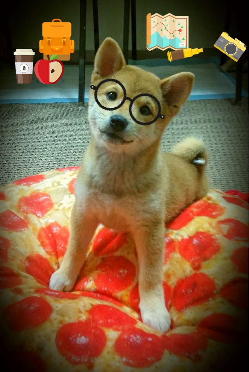 kaiyun官方入口登录-体育+文化融合创新，推动青少年多元发展新格局，体育文化的融合  第1张