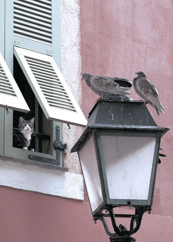 开云体育官网下载安装-国际水上摩托赛，掀起水上激情浪潮，国际水上摩托公开赛  第3张