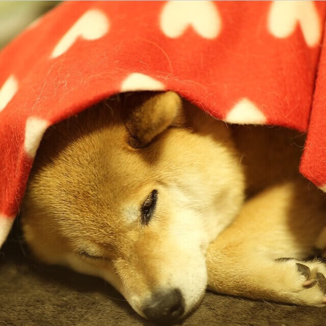 开云体育官方下载-摩洛哥队在巴黎奥运会男足比赛中表现出色,赢得铜牌,摩洛哥著名足球运动员